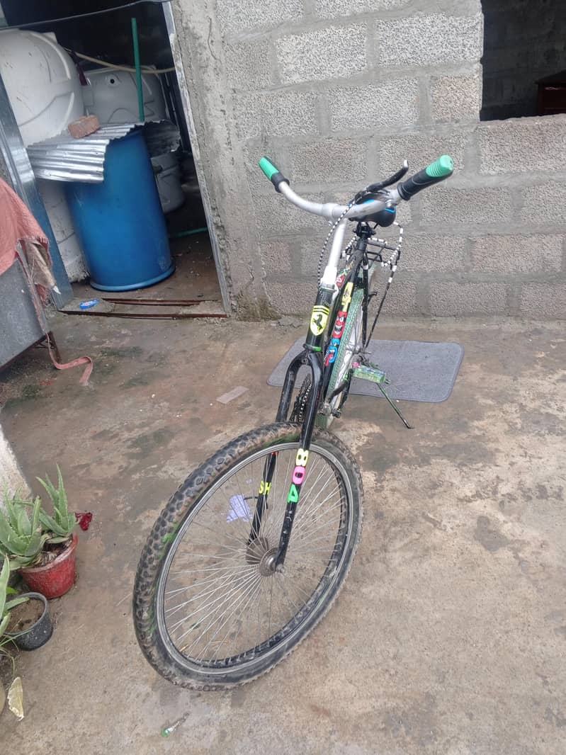 PHONIX CYCLE 8