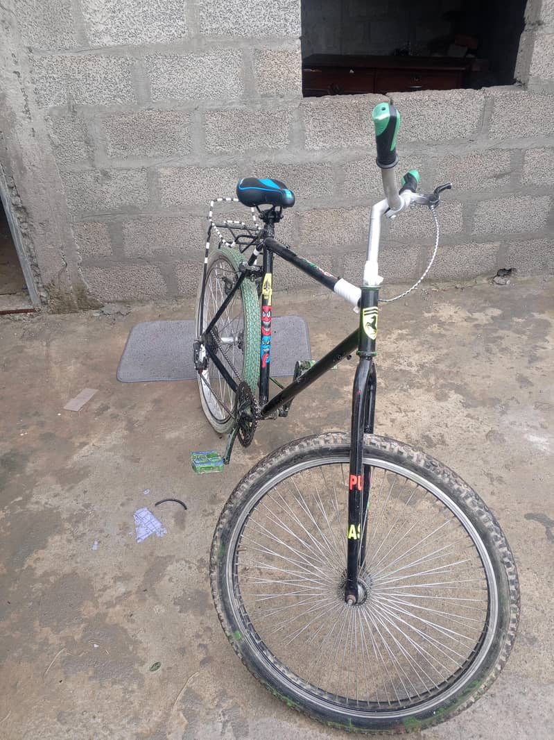 PHONIX CYCLE 10