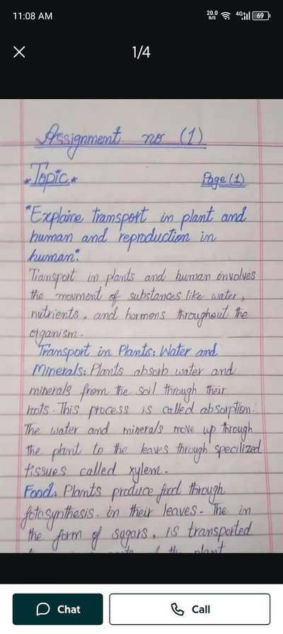 assignment writer