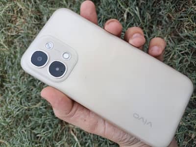 vivo y 31 d