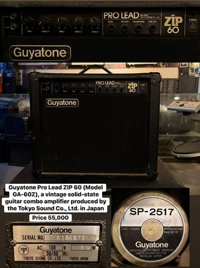 Guyatone Pro Lead zip 60 Guitar Amplifier /Piano/Keyboard/Amp/Bass/