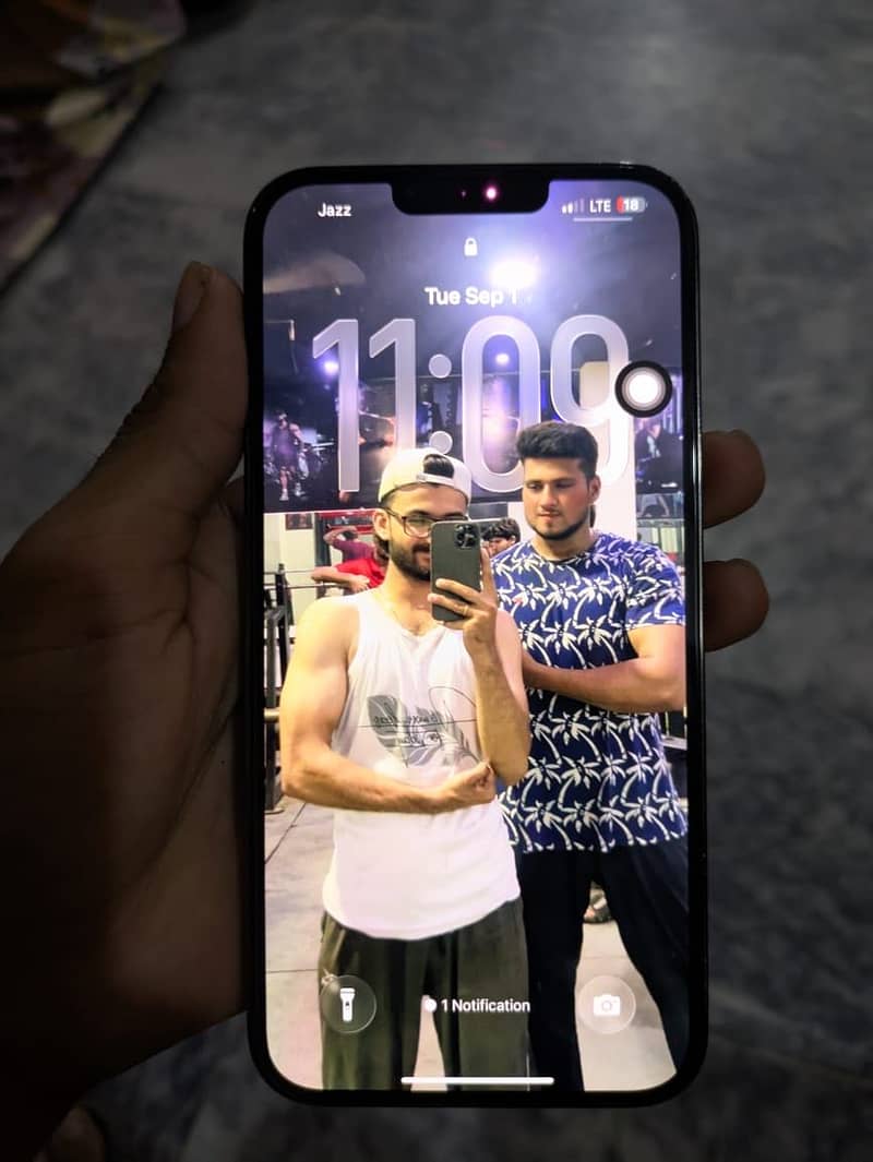 Apple iPhone 13 Pro Max 4