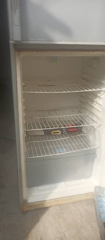 Haier large fridge