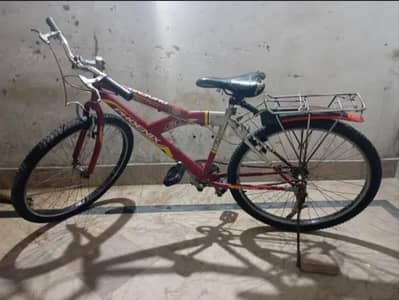 Phoneix Cycle