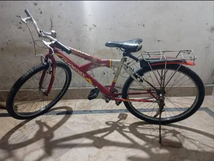 Phoneix Cycle 0