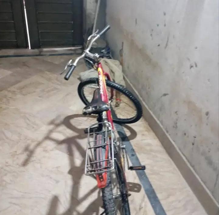 Phoneix Cycle 1