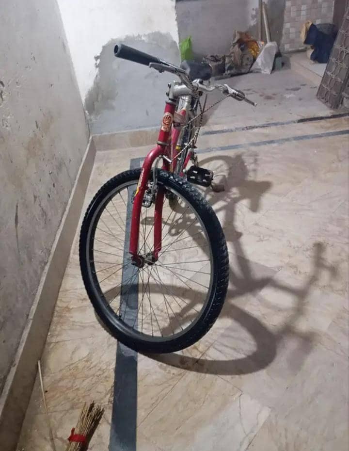 Phoneix Cycle 3