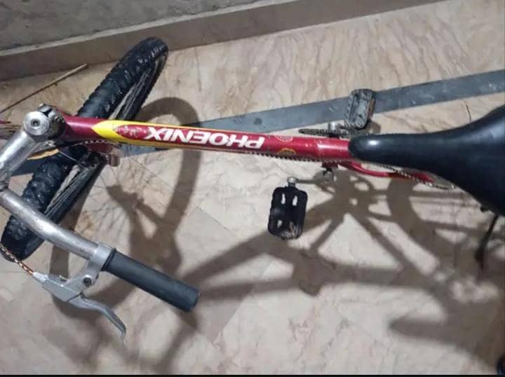 Phoneix Cycle 5