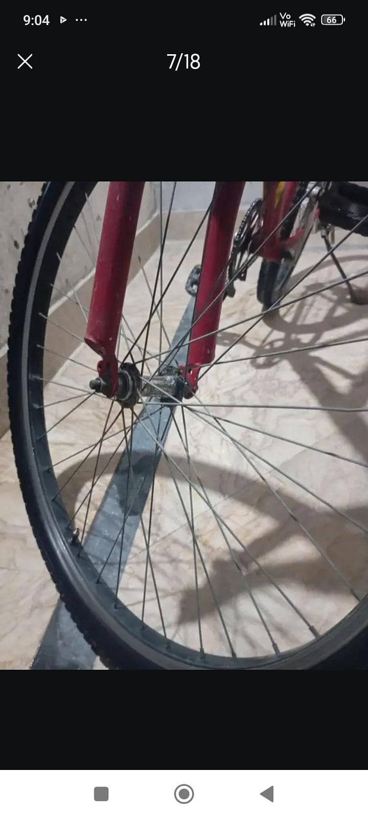 Phoneix Cycle 6