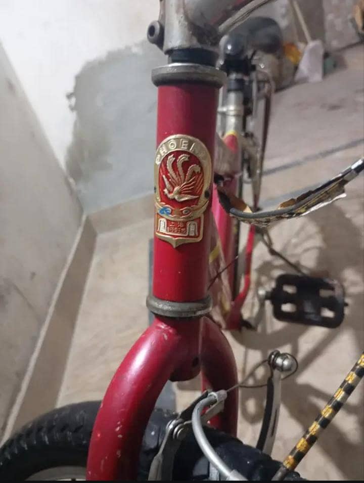 Phoneix Cycle 8