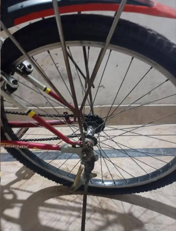 Phoneix Cycle 9