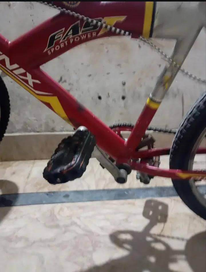 Phoneix Cycle 10