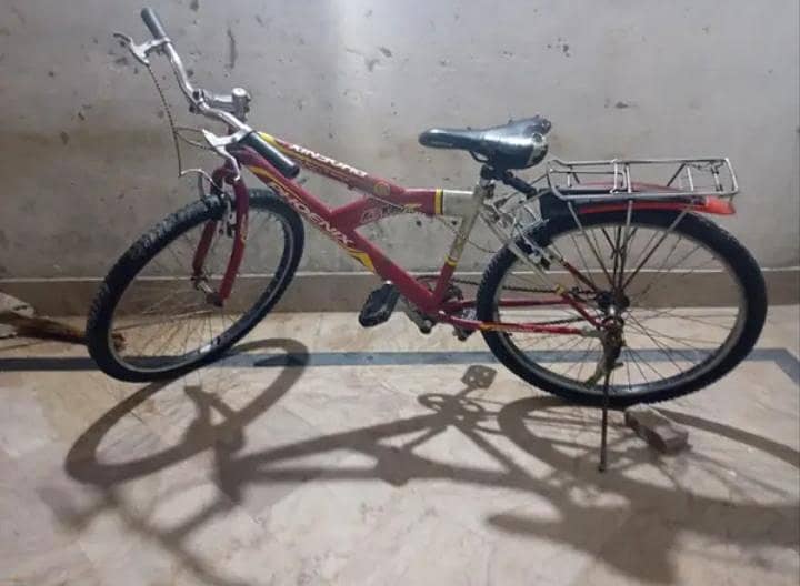 Phoneix Cycle 12