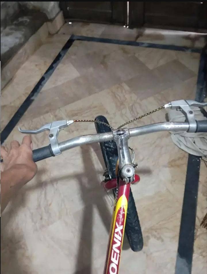 Phoneix Cycle 13