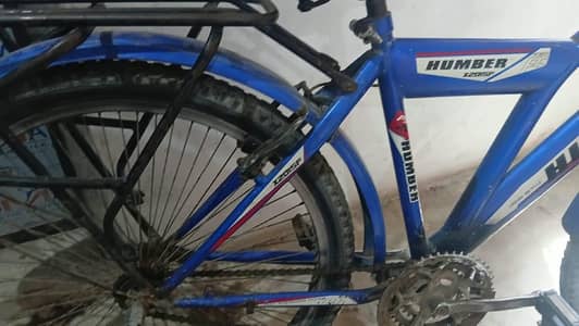 for sale