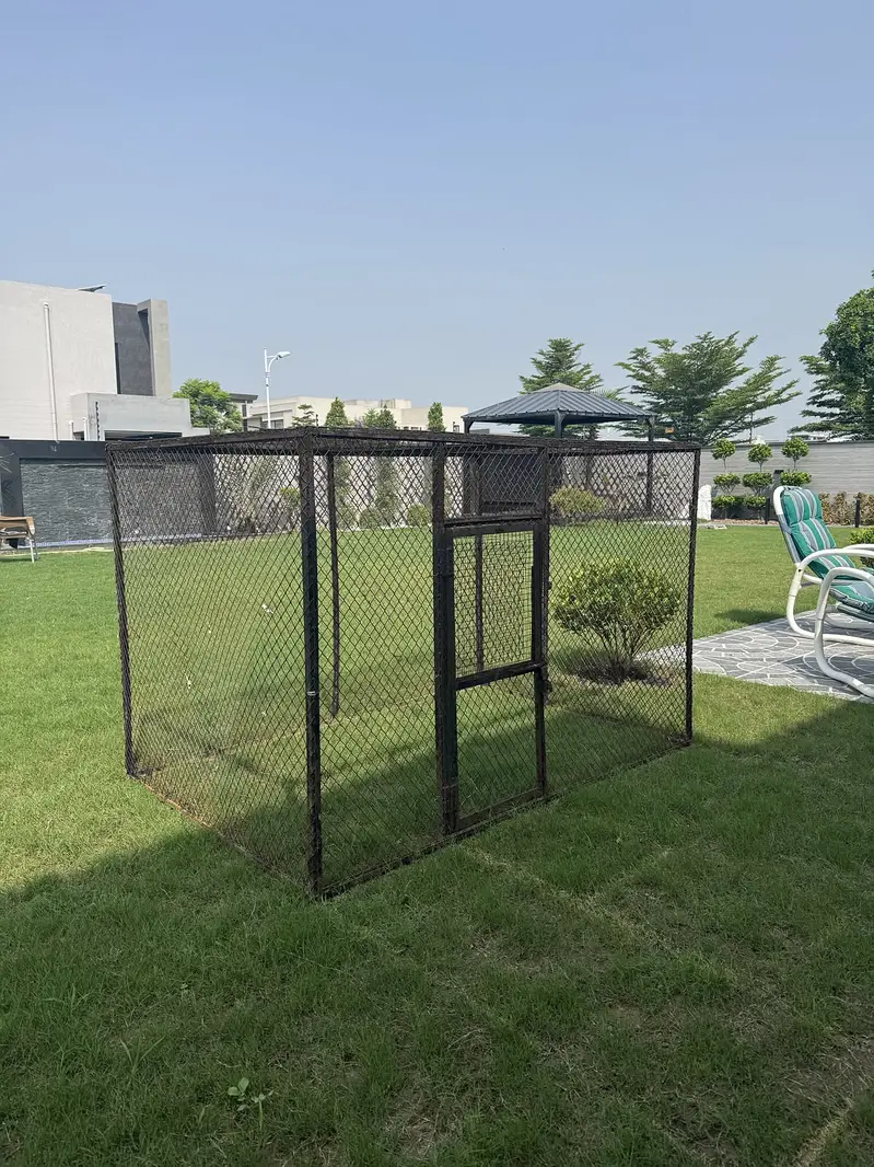 Hen Cage For Sale