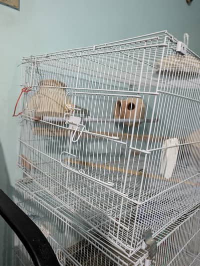 Folding Cage 2x2x1.5