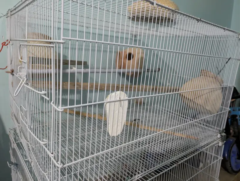 Folding Cage 2x2x1.5 — photo 3