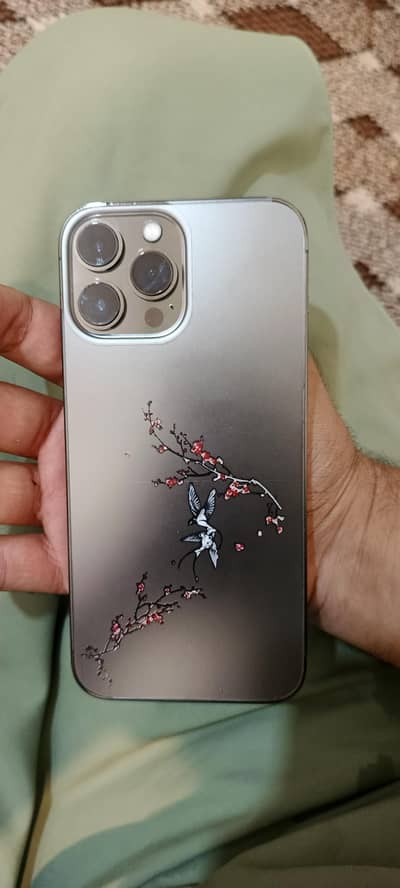 Apple iPhone 13 Pro Max