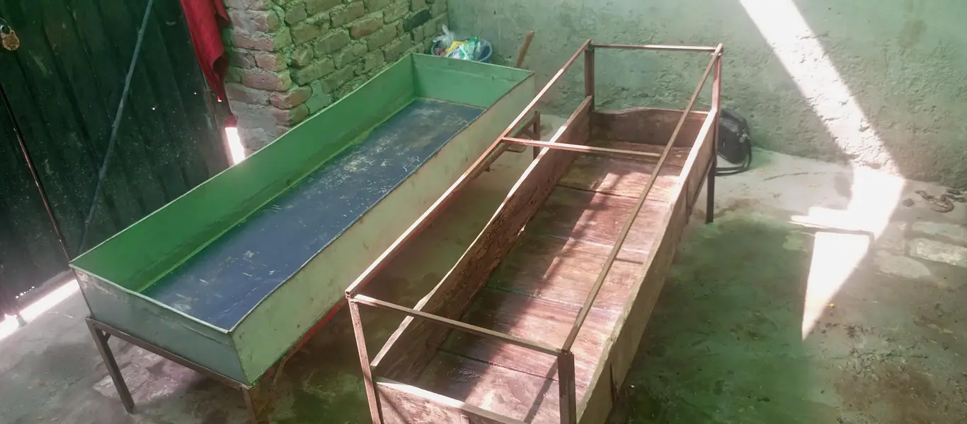 Goats — photo 2
