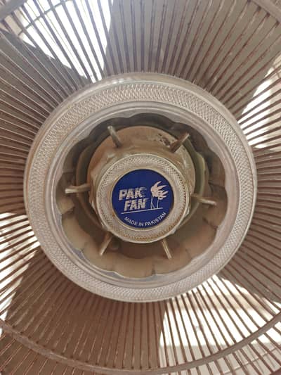 24" size Pedestal Fan