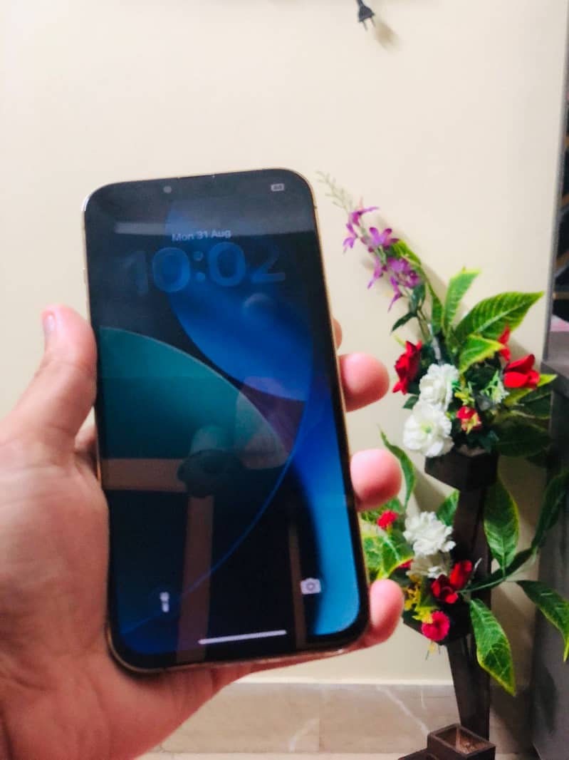 IPhone 13Pro Max 1