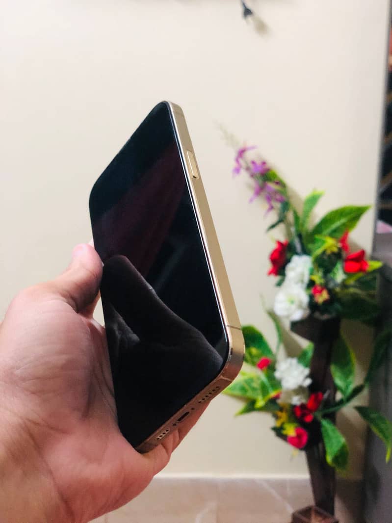 IPhone 13Pro Max 2