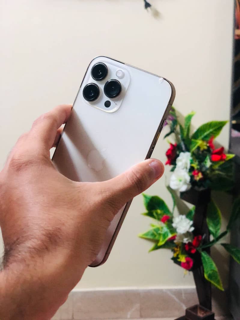 IPhone 13Pro Max 3