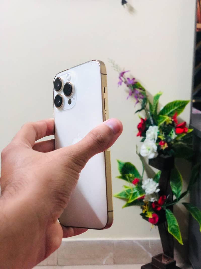 IPhone 13Pro Max 4