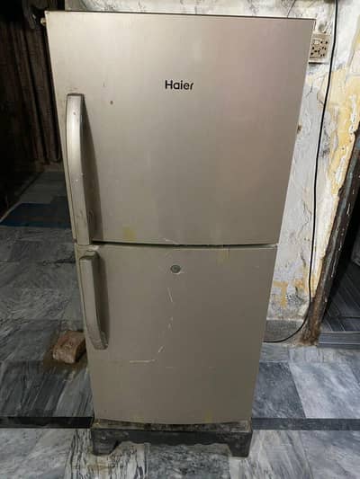 Medium size Haier refrigerator
