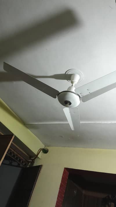 Royal fan 56" Deluxe model