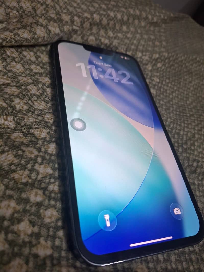 Apple iPhone 13 Pro Max 6