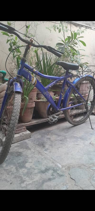 Bicycle 26"