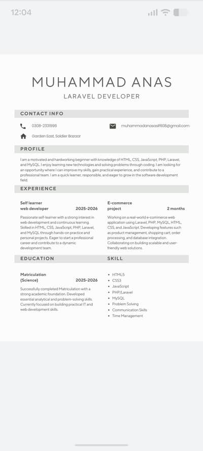 Laravel developer