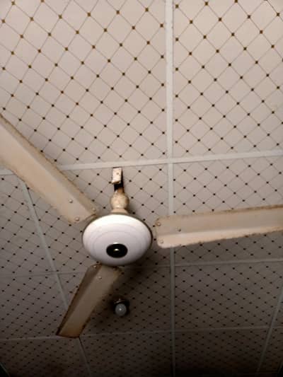 celling fan copper active use
