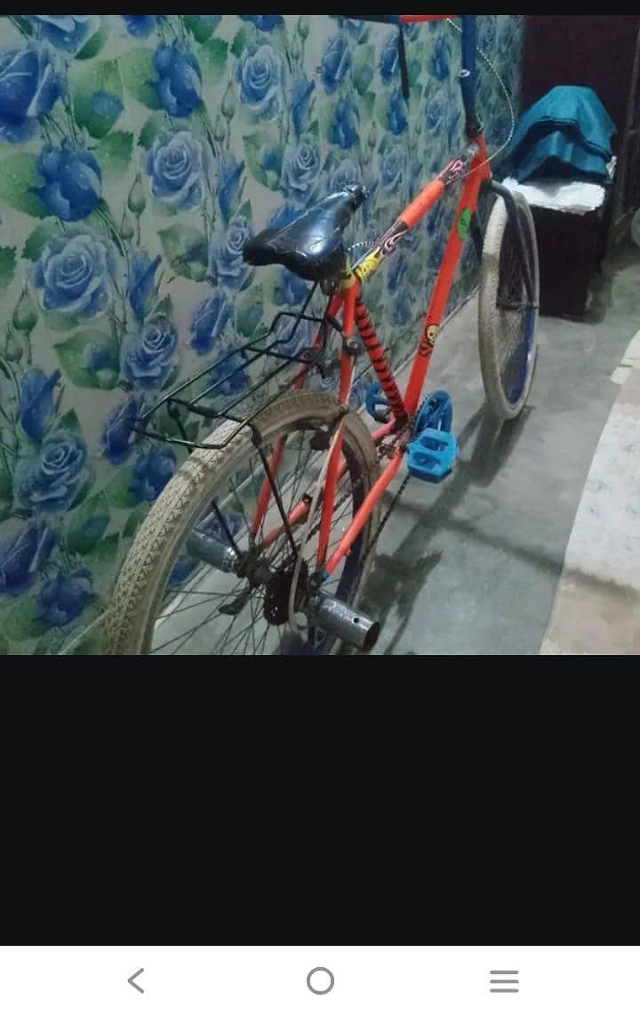 New Cycle 1
