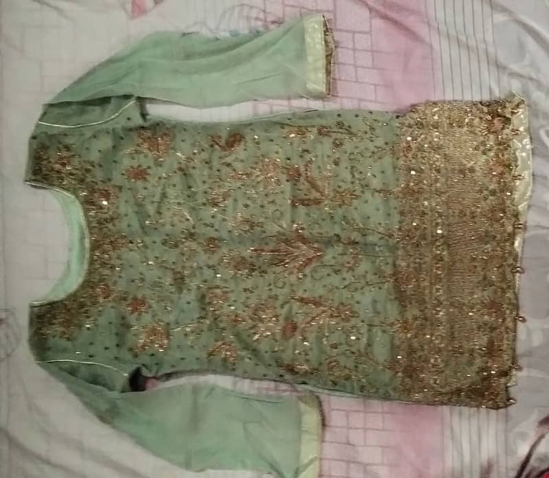 Bridal function Dress 3