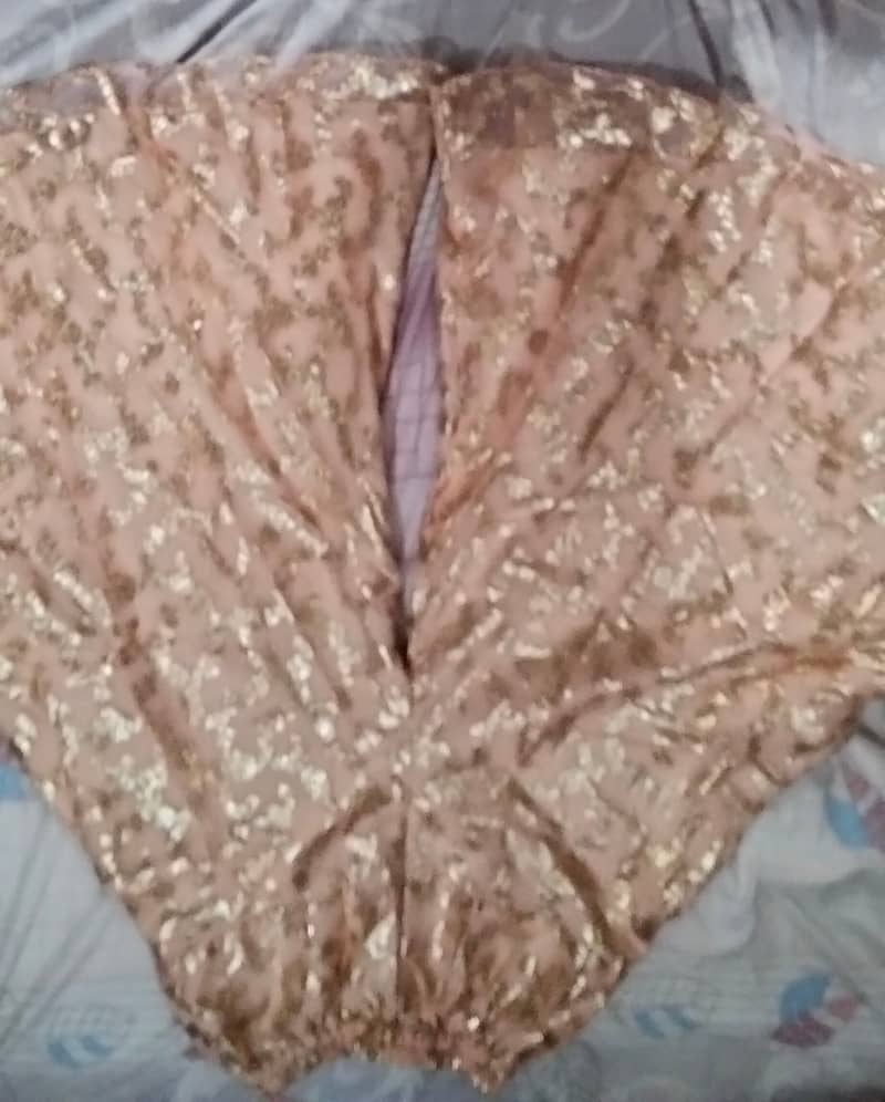 Bridal function Dress 4
