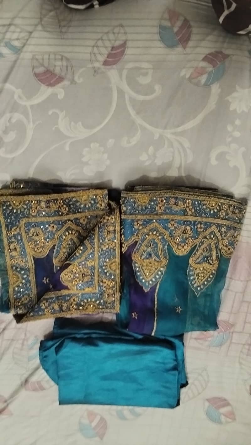 Bridal function Dress 11