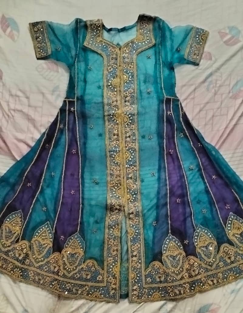 Bridal function Dress 13