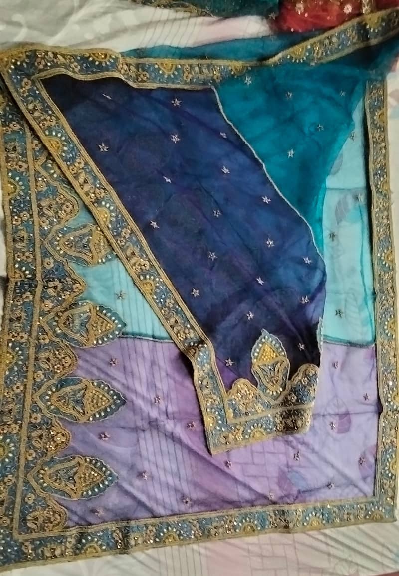 Bridal function Dress 14