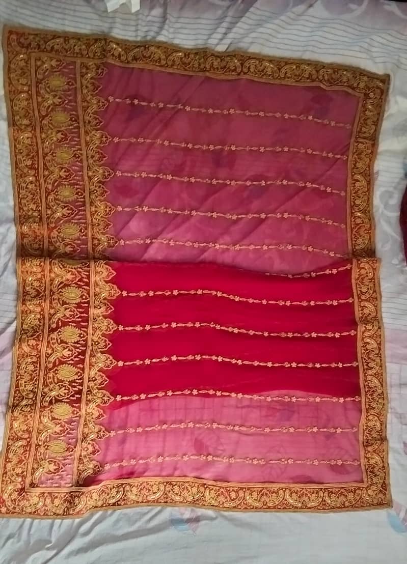 Bridal function Dress 17