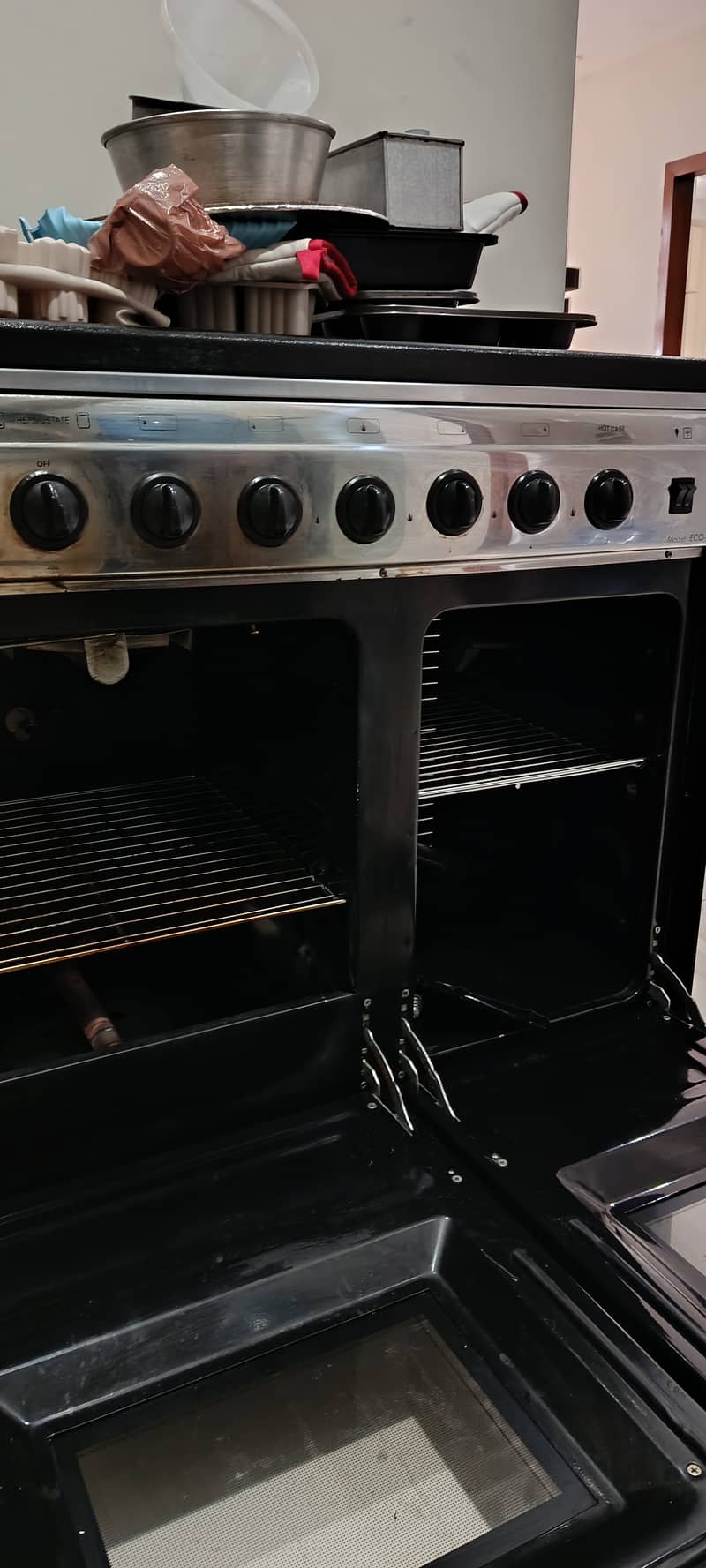 NesGas Cooking Range 2