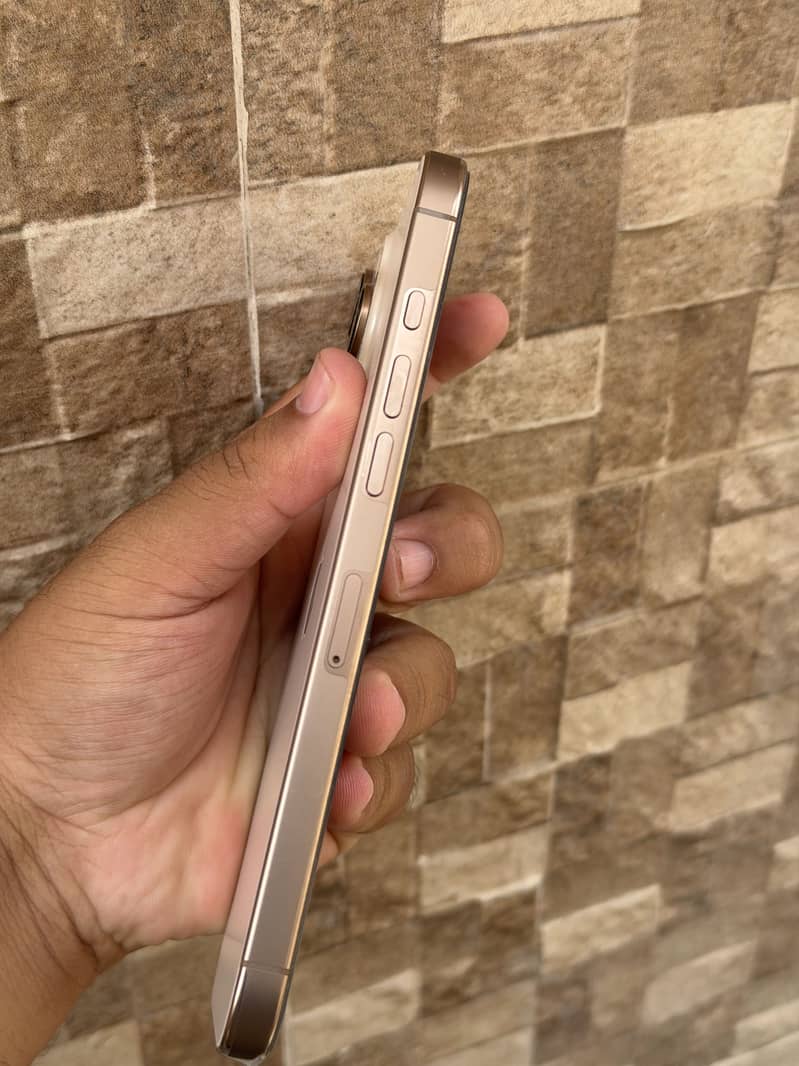 Apple iPhone 16 Pro Max 1