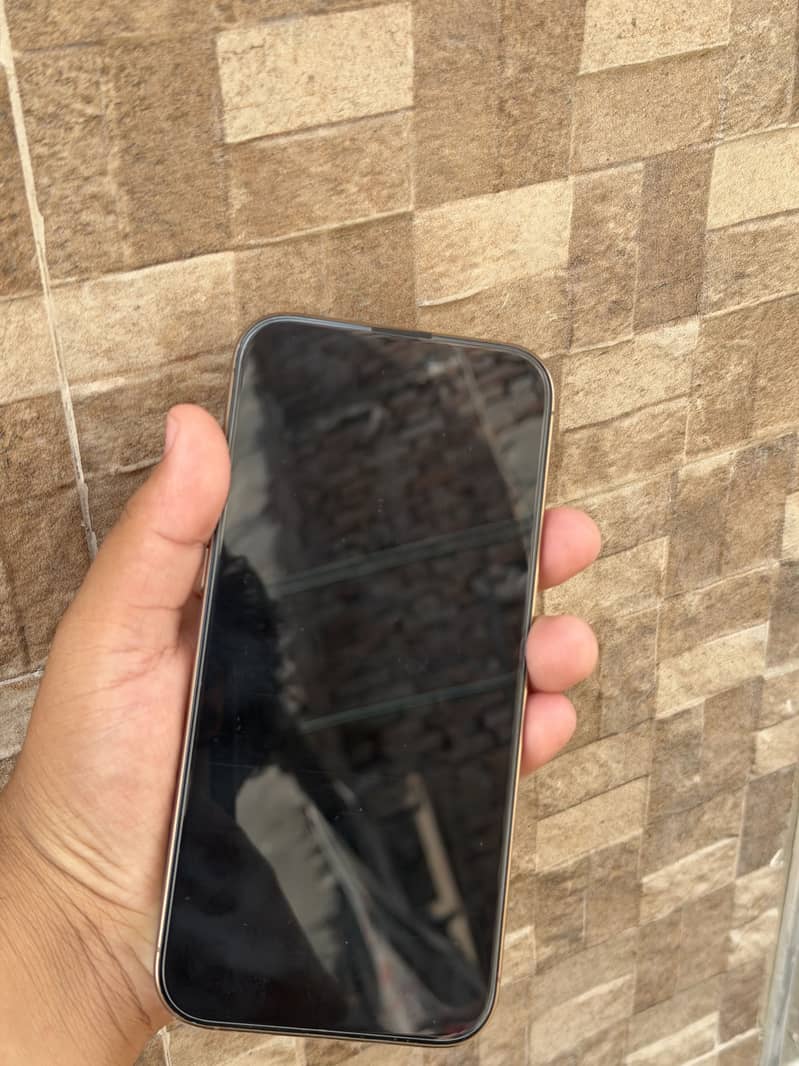 Apple iPhone 16 Pro Max 2