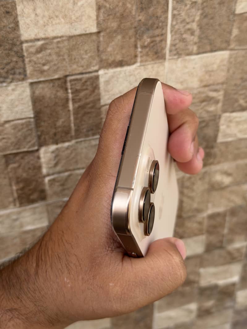 Apple iPhone 16 Pro Max 5
