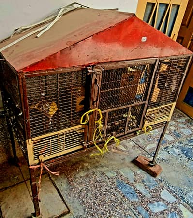 Parrot cage