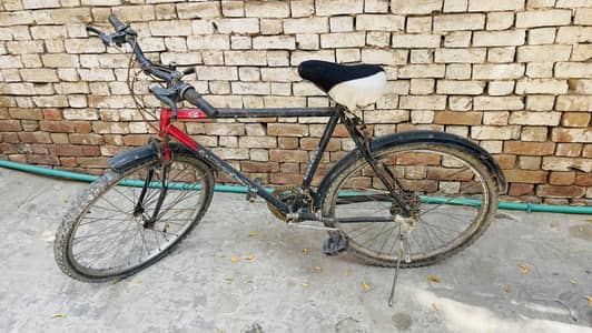Cycle