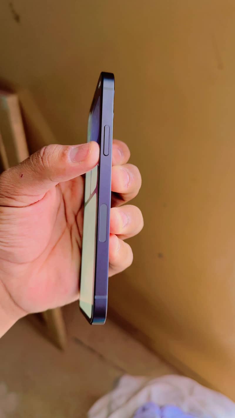 Apple iPhone 12 1