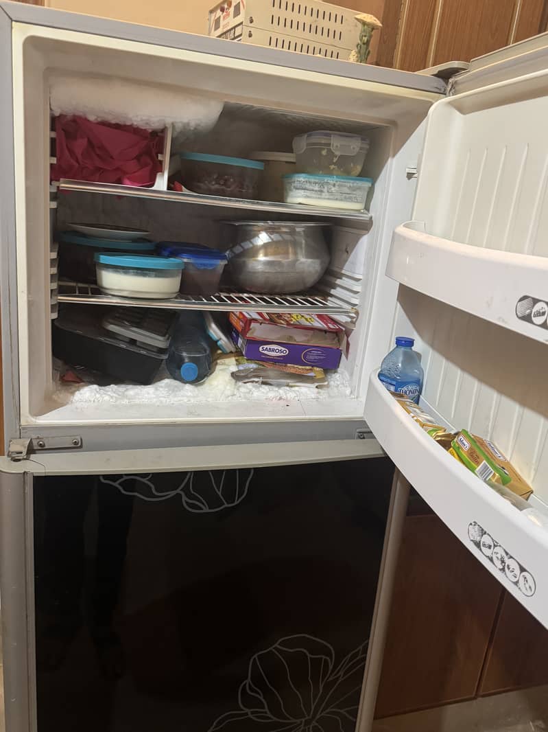 Orient Fridge 4